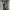 Avantgarde japanese girl pict hysteric isseymiyake yohji photo 1