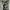Avantgarde Japanese Girl Pict Hysteric Isseymiyake Yohji