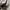 H&M Y2K Coquette Sunglass Wanita brown black photo 4