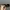 H&M Y2K Coquette Sunglass Wanita brown black photo 3