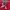 JNCO Streetwear Skater T-shirt Pria burgundy photo 2