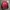 Harvard Under Armour Bomber Varsity Jacket photo 6
