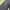 Jacket Navy Double Zipper by HINSON photo 5