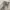 NZ baggy grey wash jeans photo 2