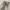 NZ Baggy Grey Wash Jeans