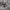 VANS ANAHEIM FACTORY AUTHENTIC 44 DX CLASSIC men’s sneakers  photo 2