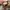 VANS ANAHEIM FACTORY AUTHENTIC 44 DX CLASSIC men’s sneakers  photo 7