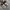 VANS ANAHEIM FACTORY AUTHENTIC 44 DX CLASSIC men’s sneakers  photo 4