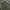 Cargo Ballon GU Super Wide Leg Army photo 7