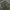Cargo Ballon GU Super Wide Leg Army photo 5