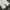 Cargo Ballon GU Super Wide Leg White photo 6
