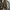 Coquette Casual Casual dress Wanita brown black photo 1