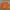Feltics Casual Sweater Pria Orange