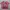 JERSEY POWERPUFF GIRLS ORIGINAL 100% photo 1