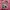 JERSEY POWERPUFF GIRLS ORIGINAL 100% photo 3