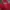 Dickies Casual Hoody Pria red photo 1