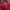 Dickies Casual Hoody Pria Red