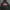 Dickies Casual Hoody Pria green photo 1