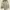 One Set Beige Polkadot photo 3