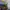 Chrisrian Dior Big Size photo 7