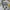 Chrisrian Dior Big Size photo 6