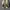 converse white leather jack purcell photo 2