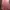 Minimalist Muslim Summer Dress Wanita Pink