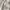 Adidas Sportswear Casual Jersey Pria white photo 8