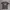 tshirt join hyuk x topten photo 1