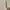 Flat Shoes Michael Kors Original 100% photo 6