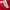 New Balance Sportswear Casual Jersey Pria red photo 7