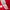 New Balance Sportswear Casual Jersey Pria red photo 8