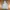 Hoodie USAF by soverment photo 2