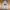 Hoodie USAF by soverment photo 1