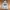 Hoodie USAF By Soverment