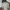 Dr. Martens 1460 Cherry Red photo 4