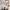 Shein Sweater Crop Pointelle Knit Lantern Sleeve photo 2