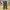 Easy Ankle Pants Muji green army photo 2