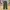 Easy Ankle Pants Muji Green Army