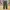 Easy Ankle Pants Muji Green Army