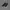Sepatu Skechers GoWalk Flex Slip On photo 2
