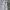 Morgan Homme Vintage Casual Jeans Pria Gray
