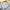 Sportswear Casual Jersey Pria white photo 5