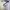 Sportswear Casual Jersey Pria white photo 4