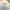 Sportswear Casual Jersey Pria white photo 7