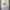 Sportswear Casual Jersey Pria white photo 1