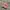 Nike Air Max Tn Plus Pink photo 1