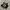 Adidas Campus 002S Korn Black White photo 1