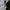 alpha industries MA-1 flying Bomber reversibel Jacket  photo 3