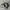 Air Jordan 1 Low Black White Green photo 1